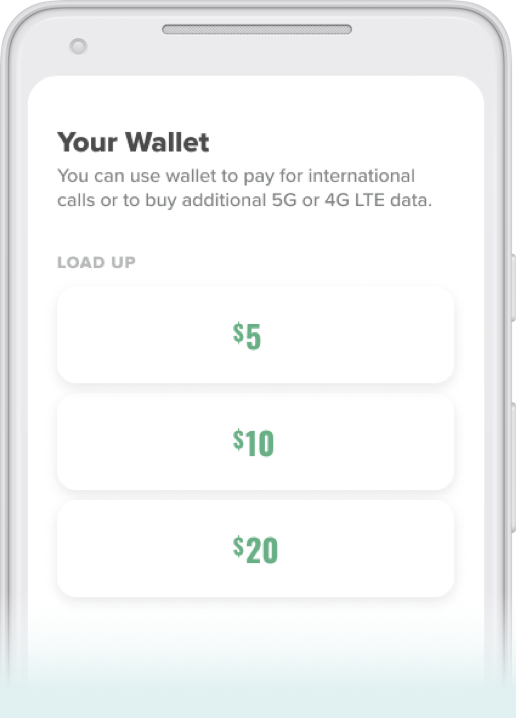Add money to mint mobile app wallet
