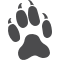 Fox paw print