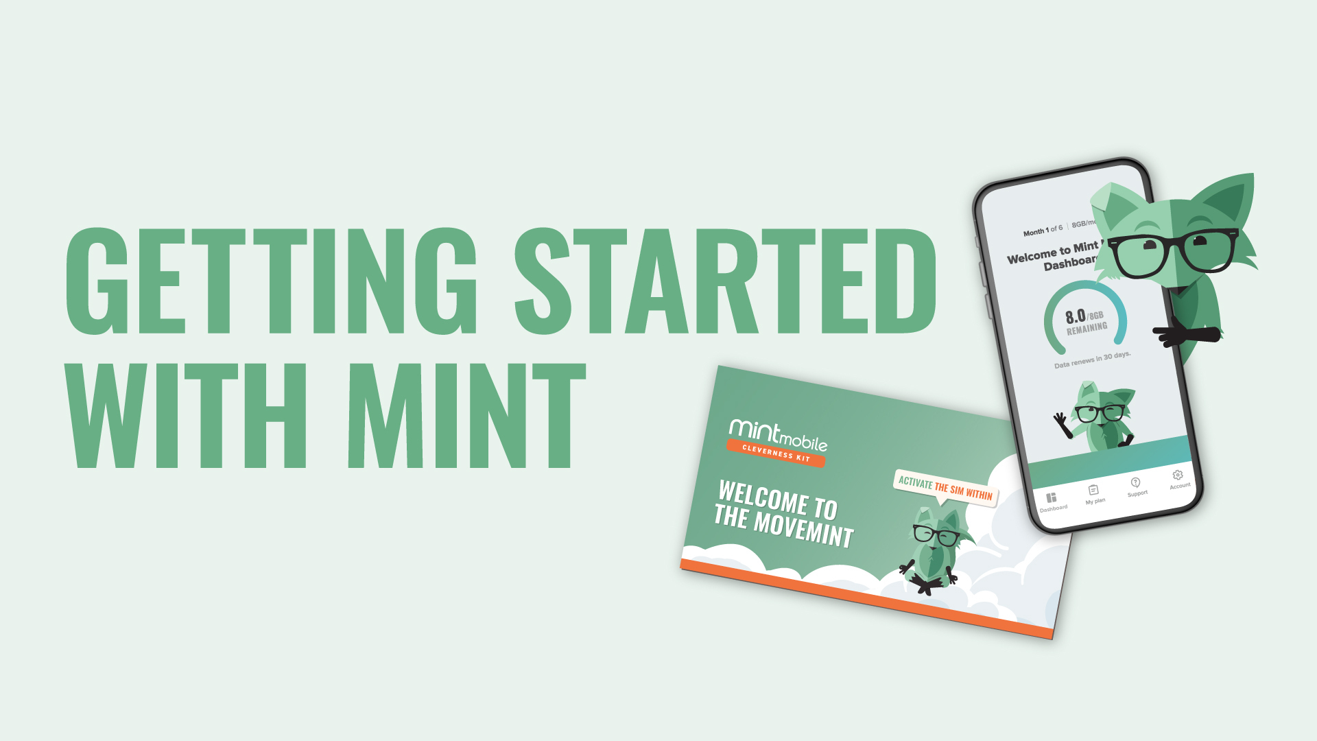 mint mobile 12 month plan 10gb