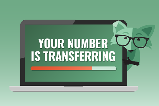 Switch it up — how to bring your phone number to Mint Mobile | Mint Mobile
