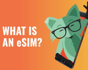 What is eSIM title with Mint Fox