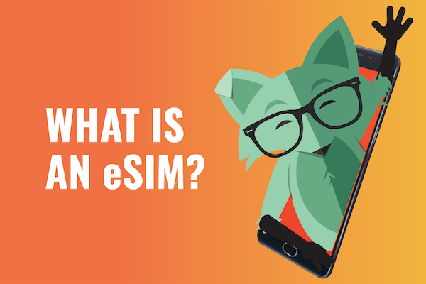 What is eSIM? | Mint Mobile