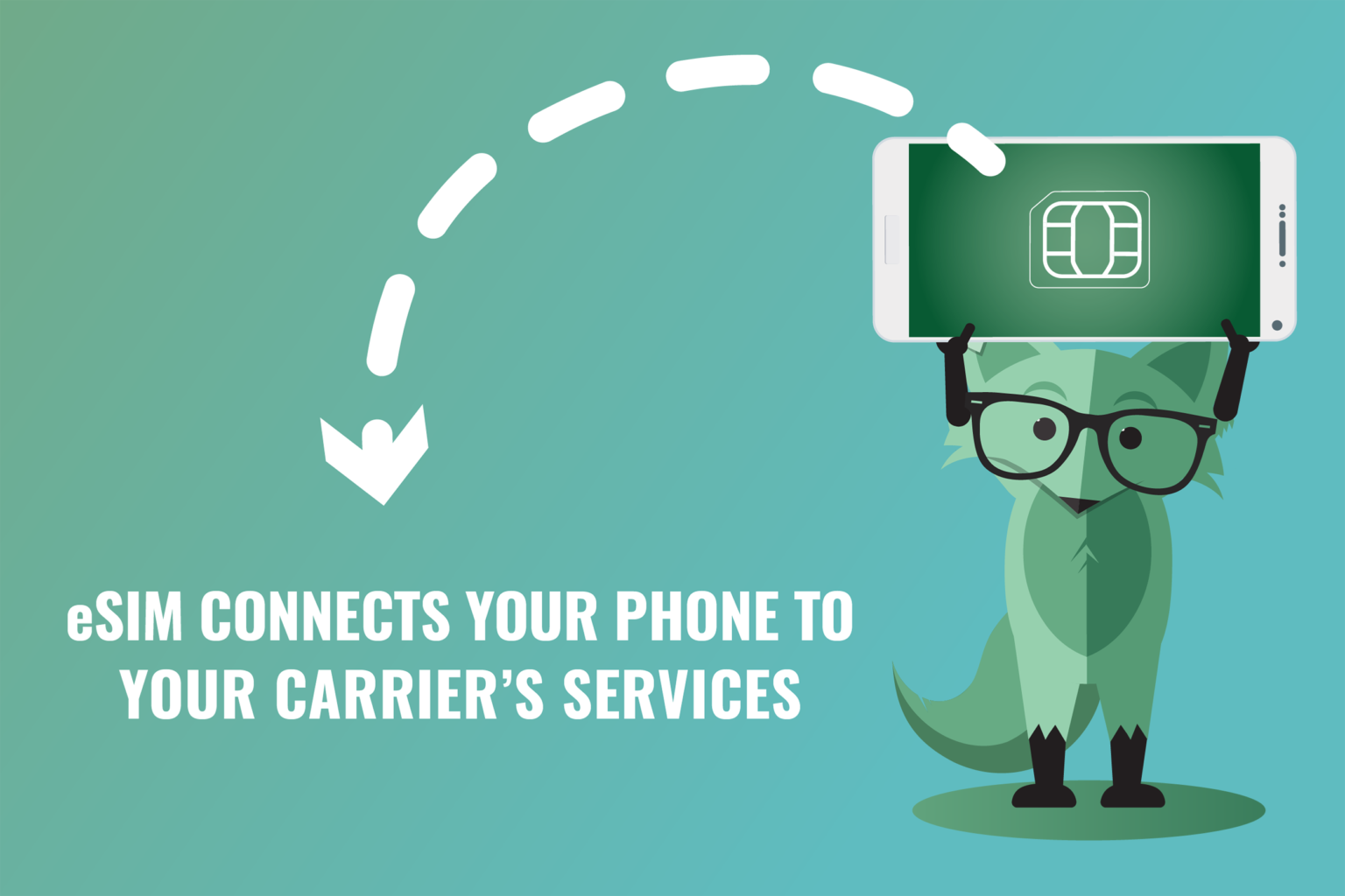 What is an eSIM card & how does it work Mint Mobile