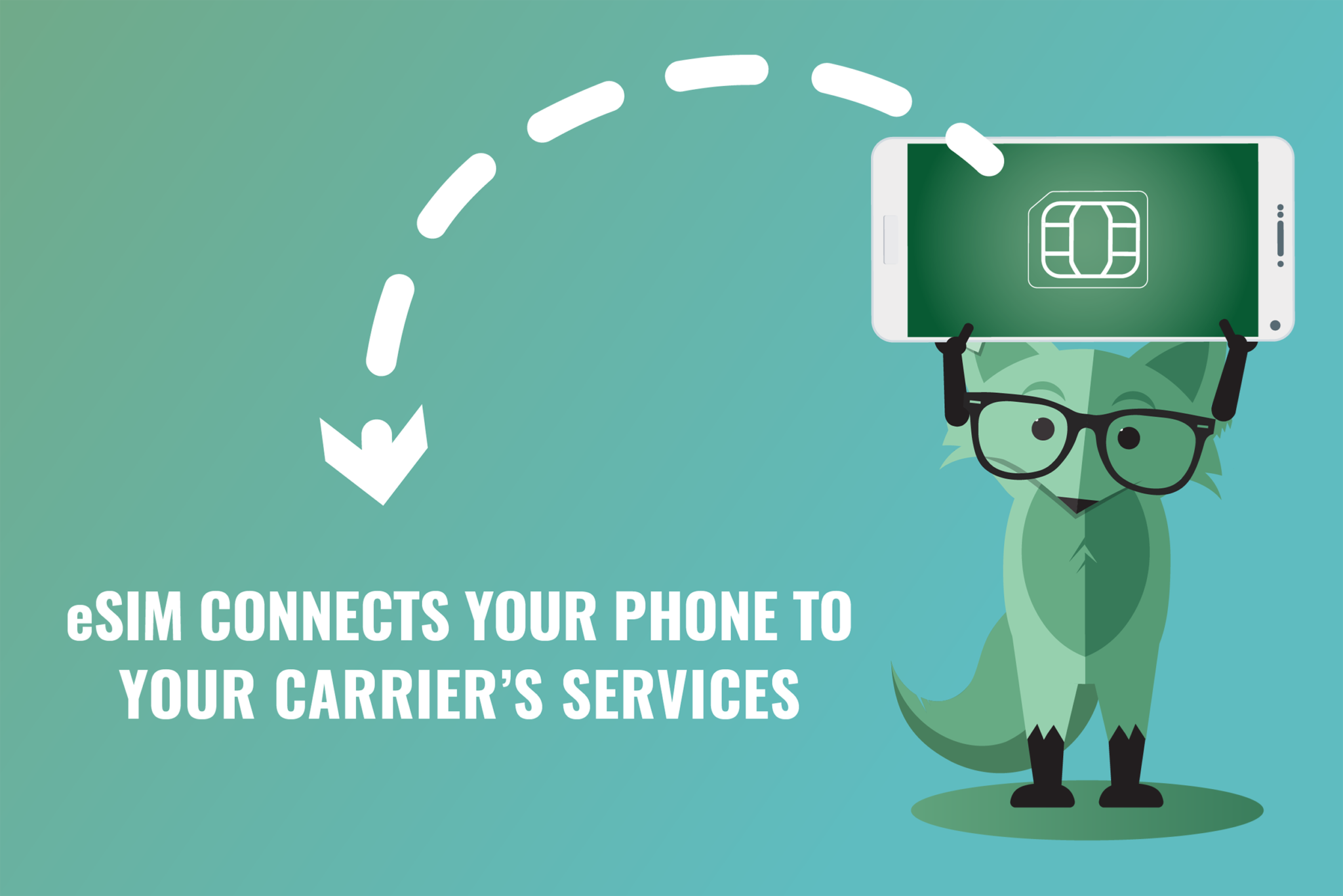 What is an eSIM card & how does it work Mint Mobile