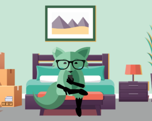Mint Fox sitting on in an apartment about to organize his phone