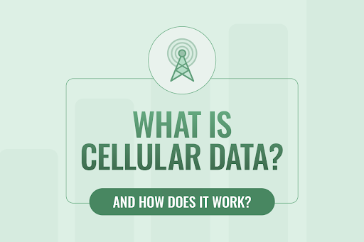 Wi-Fi vs. cellular data: What's the difference? I Mint Mobile