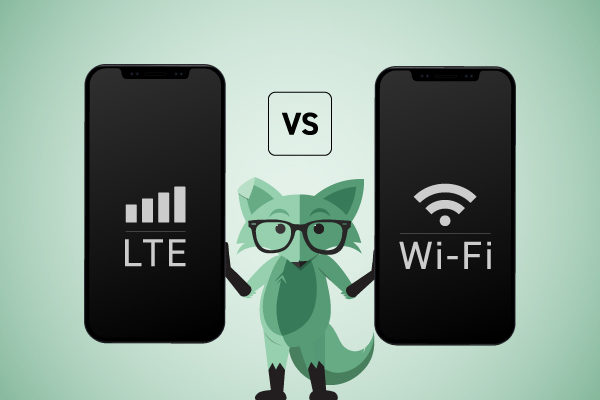 mint fox explaining the difference between LTE and Wifi