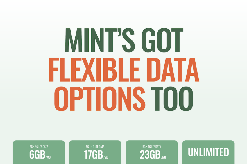 Mint's got flexible data options, too