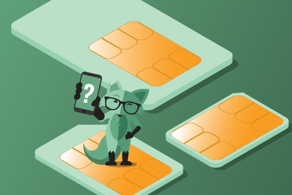 mint fox explaining what really happens when you switch your sim card