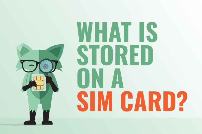 Mint Fox examining a SIM card with a magnifying glass. Graphic copy reads: “What is stored on a SIM card?”
