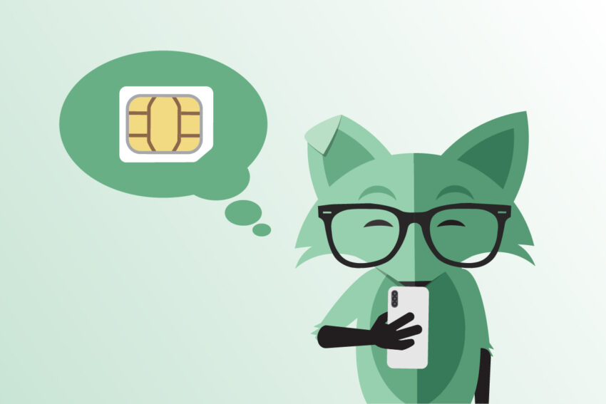 Mint Fox telefonunda SIM kartında ne depolandığını görmek için kontrol ediyor