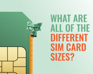 mint fox with the title what are all the different sim card sizes