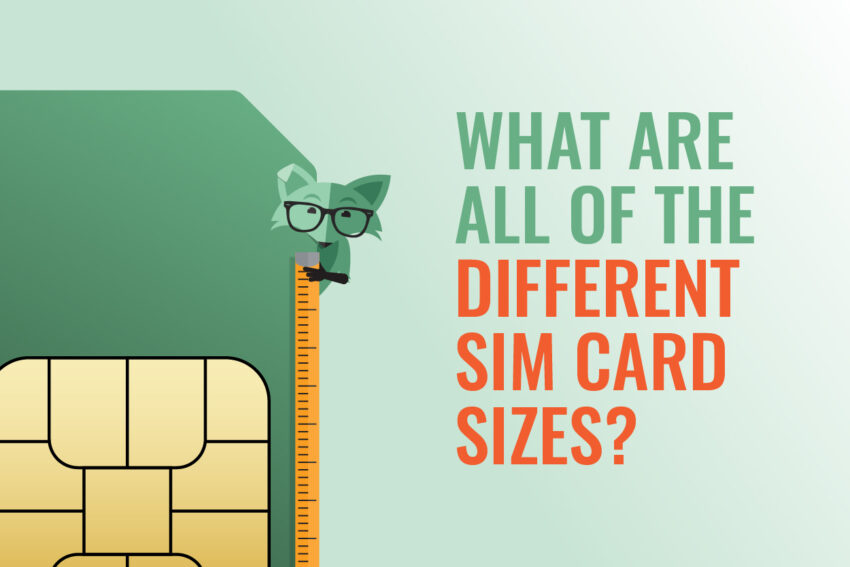 Mint Fox measuring a giant SIM card with graphic copy that says “What are all of the different SIM card sizes?”