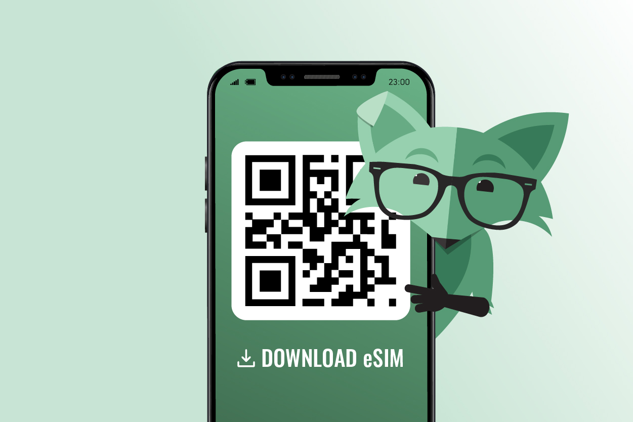 SIM Card Sizes - Explore All the Different Sim Card Sizes | Mint Mobile