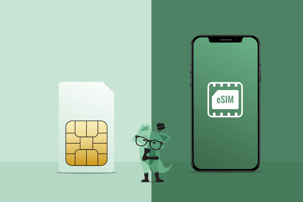Best E-Sim Cards for Traveling to the USA in 2024 