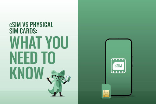 Mint Fox with a sign "eSIM vs Physical SIM cards: What you need to know"