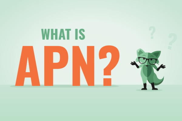 what-is-apn-access-point-name-mint-mobile