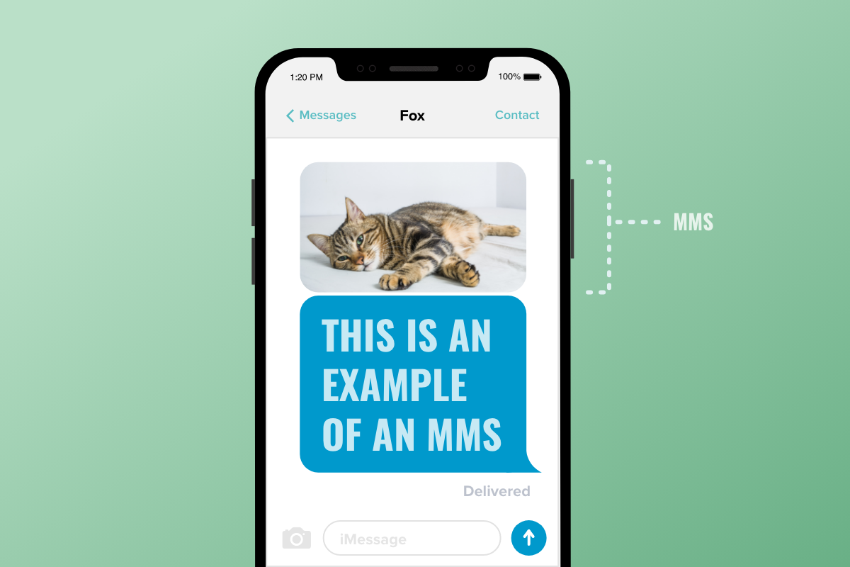SMS vs MMS What is MMS & SMS Messaging Mint Mobile