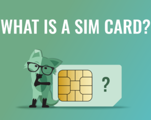 Mint Fox with the title what is a SIM card