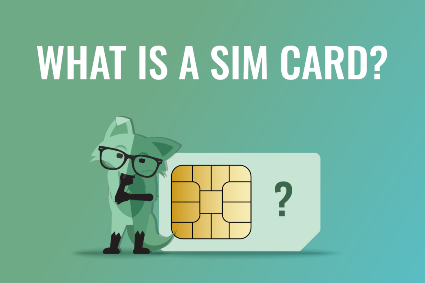 Test that reads What Is A SIM Card, below which is an illustration of Mint Fox in a thoughtful pose next to a large SIM card with a question mark on it.