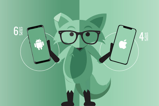 Mint Fox Holding an Android in one hand and an iPhone in another hand showcasing different steps.