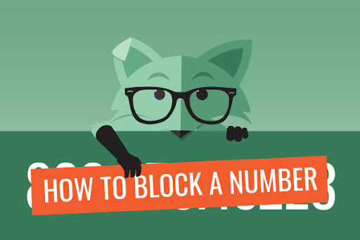 Mint Fox holding a How To Block A Number sign with one hand.