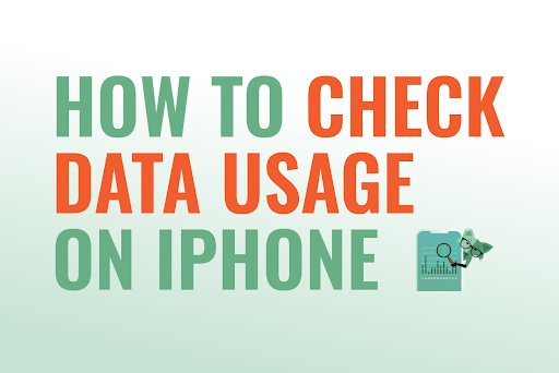 How to check data usage on Iphone sign with Mint Fox pointing to a small data chart with a magnifying glass