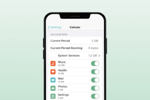 How much data does Facetime use & how to manage it | Mint Mobile