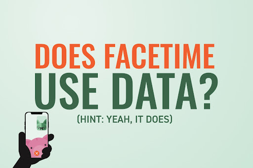  Mint Fox on FaceTime over text: “Does FaceTime use data? (Hint: Yeah, it does)