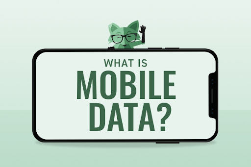 Mint Fox waving hi behind a big phone displaying the question, What is mobile data?