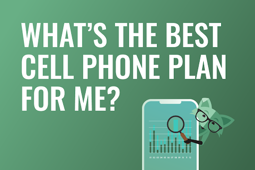What is the best cell phone plan for me? Mint Fox looking for answers.
