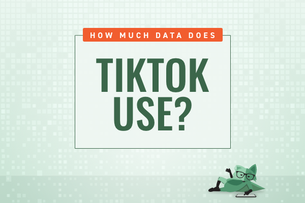 Mint Fox showing a sign that says How much data does TikTok use?