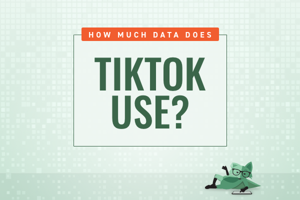 How much data does TikTok use - How to control TikTok data usage