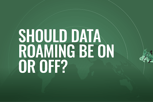 Mint Fox thinking "should data roaming be on or off?"