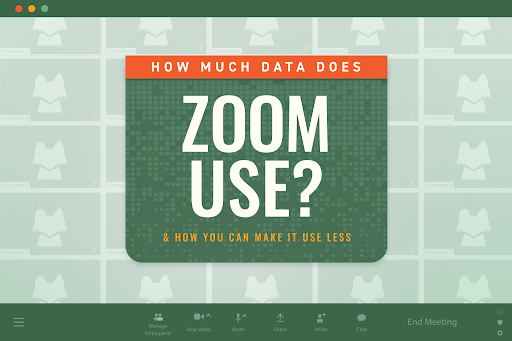 How much data does zoom use?