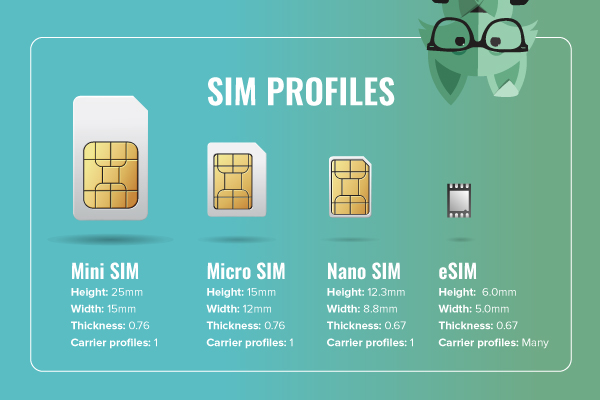 SIM card size chart, organized from largest to smallest