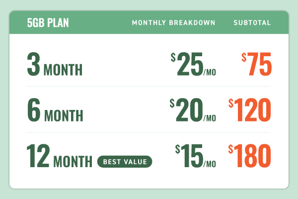 Mint Mobile 5gb plan monthly breakdown for the benefits of buying wireless in bulk