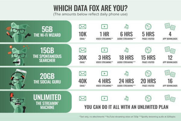 How Much Data Do I Need &amp; How to Check Usage | Mint Mobile