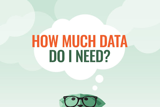 Mint Fox wondering how much data do I need?