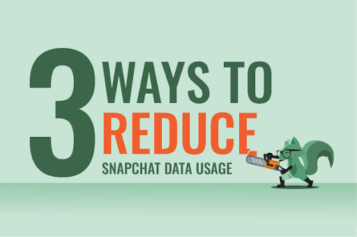 Mint Fox making a sign reading "3 ways to reduce Snapchat data usage"