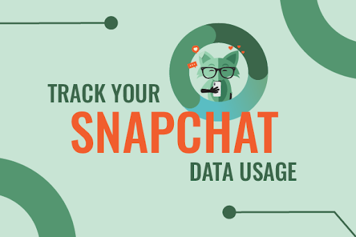 Mint Fox making a sign "3 ways to reduce Snapchat data usage