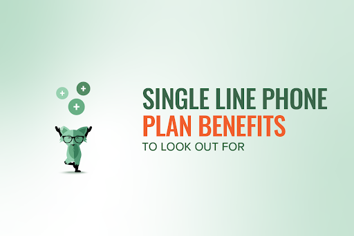 Mint Fox with text reading "Single line phone plan benefits to look out for"