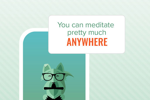 Mint Fox meditating and saying you can meditate pretty much anywhere