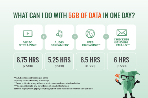 Mint Fox with a chart that breaks down what someone can do with 5GB of data in one day