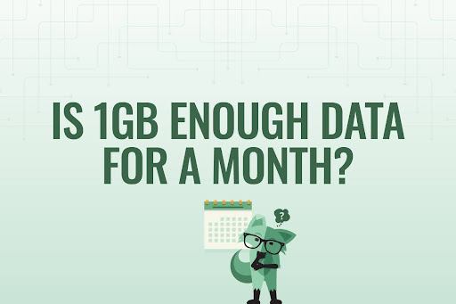 Mint Fox with a calendar "is 1GB enough data for a month?"