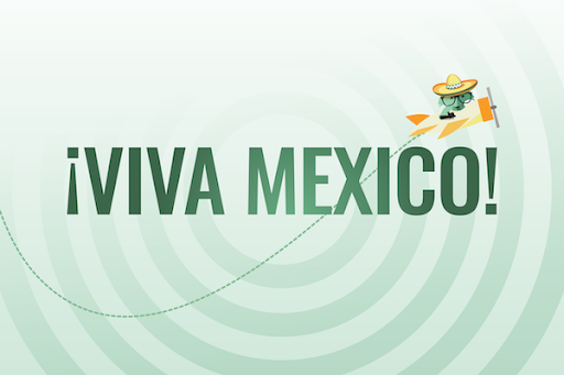 Mint Fox flying to Mexico