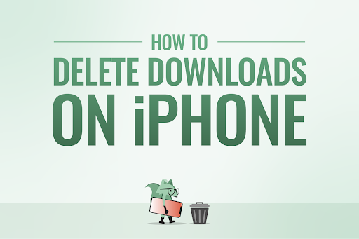 Mint Fox on how to delete downloads on iPhone