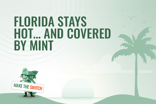 Florida stays hot and covered by Mint Mobile with Mint Fox in the graphic