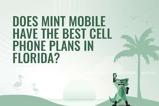 Mint Fox with a sign "Does Mint Mobile have the best cell phone plans in Florida?"