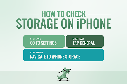 Mint Fox with how to check storage on iPhone